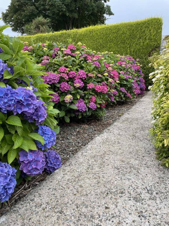 Galloway Farmstay Claunch Newton Stewart Zewnętrze zdjęcie